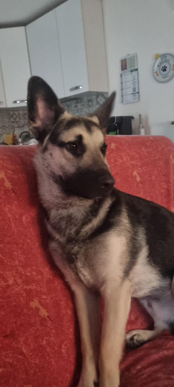 LEON Foto 3